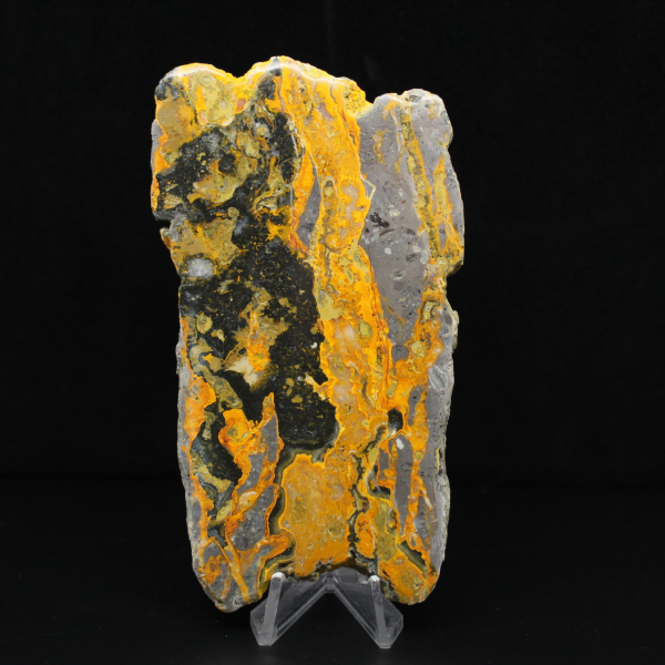 Polierte längliche Scheibe aus Hummeljaspis