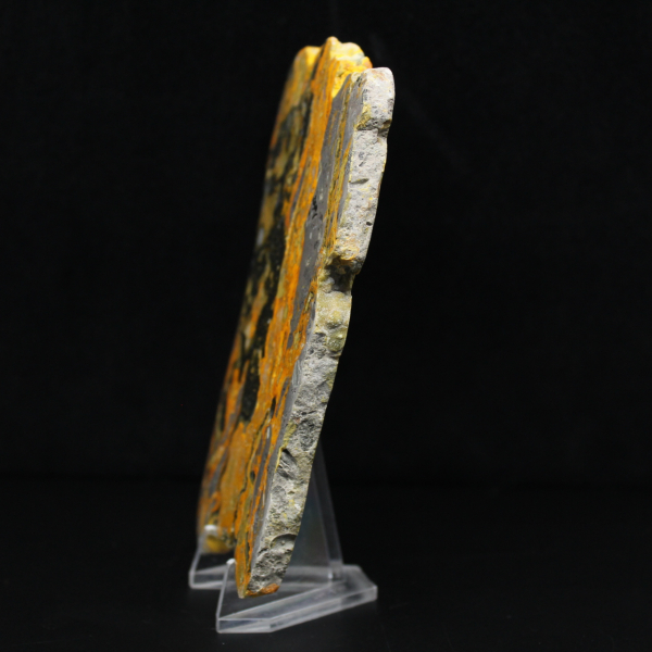 Polierte längliche Scheibe aus Hummeljaspis