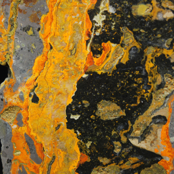 Polierte längliche Scheibe aus Hummeljaspis