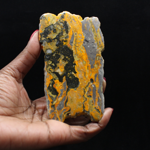 Polierte längliche Scheibe aus Hummeljaspis