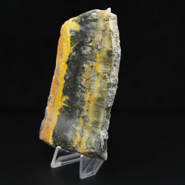 Poliertes, kompaktes Exemplar von Hummeljaspis