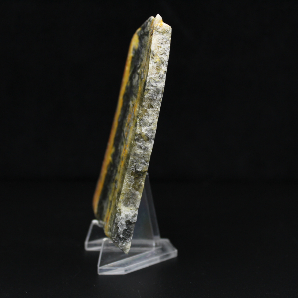 Poliertes, kompaktes Exemplar von Hummeljaspis