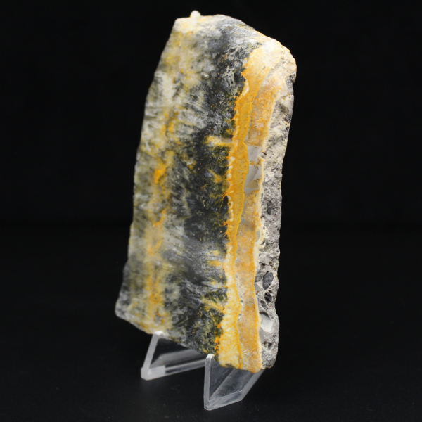 Poliertes, kompaktes Exemplar von Hummeljaspis