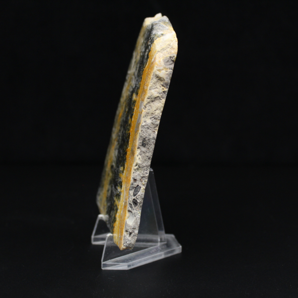 Poliertes, kompaktes Exemplar von Hummeljaspis