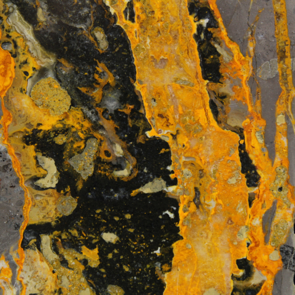 Hummeljaspis: Hochwertige, polierte Plakette