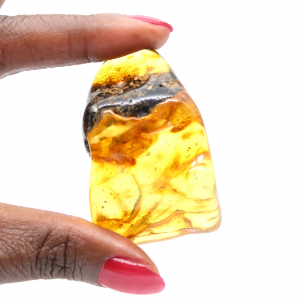 Authentischer, polierter Bernsteinkiesel aus Litauen – Mineralogisches Exemplar