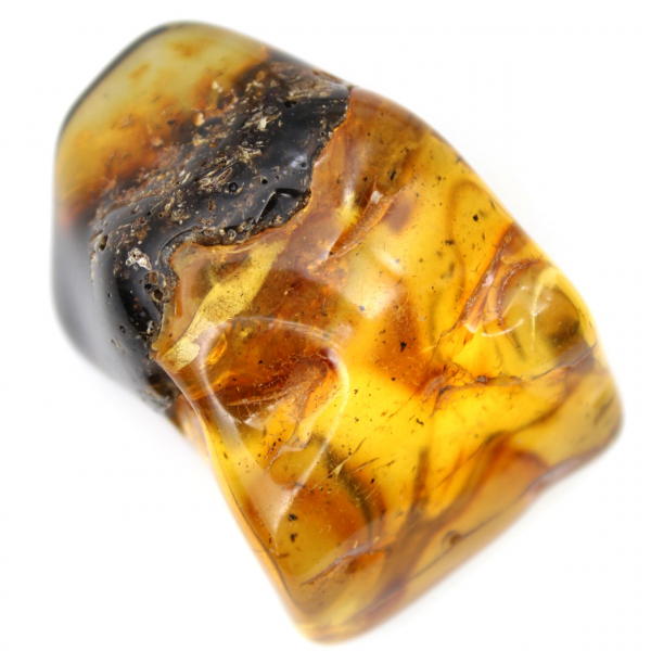 Authentischer, polierter Bernsteinkiesel aus Litauen – Mineralogisches Exemplar