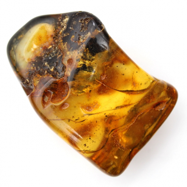 Authentischer, polierter Bernsteinkiesel aus Litauen – Mineralogisches Exemplar