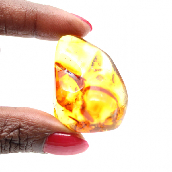 Polierter Bernstein-Kiesel aus Litauen – Authentisches Sammlerstück