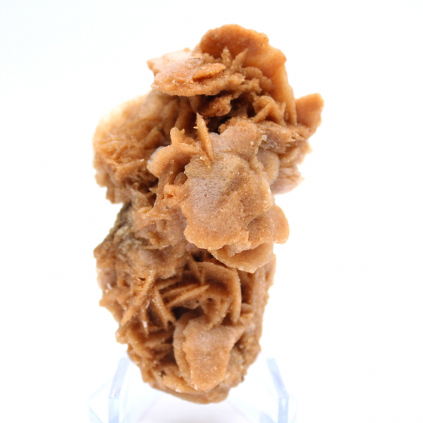 Natürlicher rosa Sandblock Tunesien