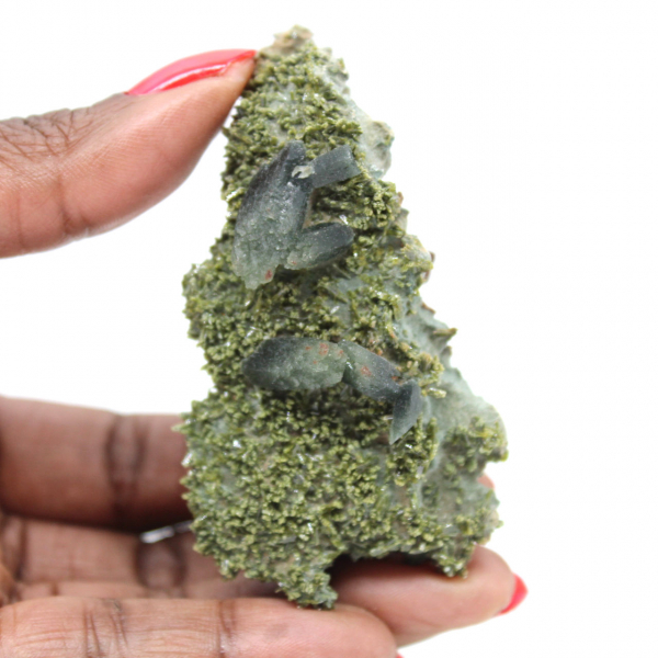 Imilchil-Epidot auf klarer Matrix