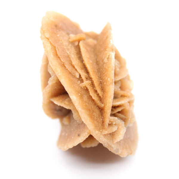 Marokkanische Wüstenrose: ein rohes Dekorationsobjekt