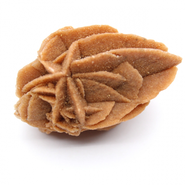 Marokkanische Wüstenrosenformation: Sammlergips