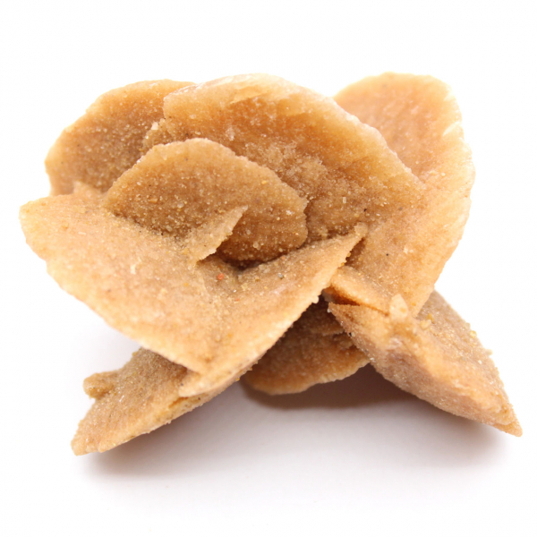 Kleine Wüstenrose Marokkos: natürliches geologisches Fragment