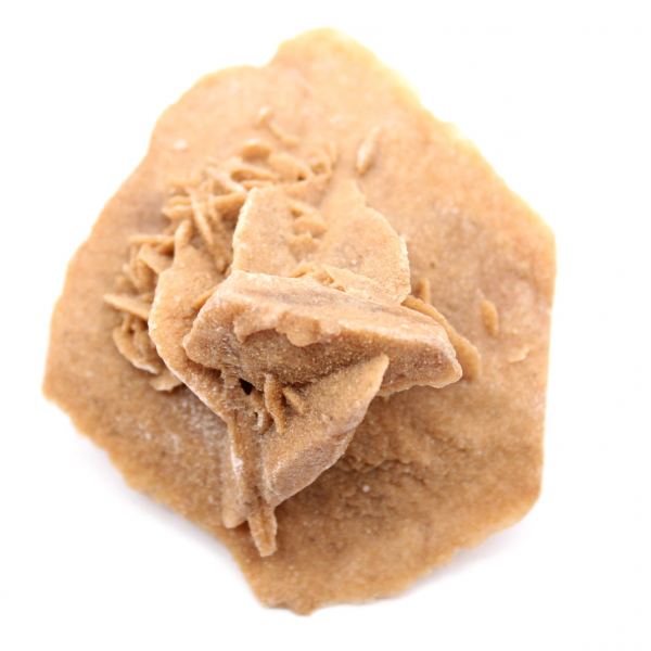 Kleine Wüstenrose Marokkos: natürliches geologisches Fragment