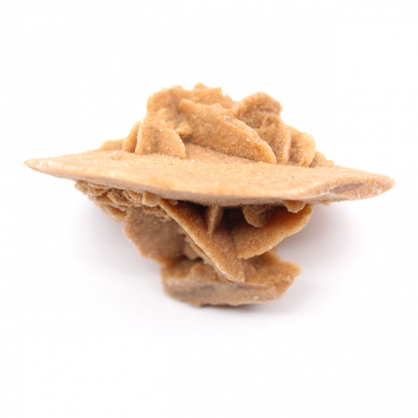 Gipsrosette aus Marokko: Naturkristall aus der Sahara