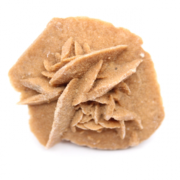 Marokkanische Wüstenrose: kleines, unbehandeltes Sammlerstück