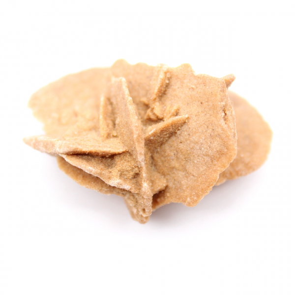 Mini-Marokkanische Wüstenrose: Exemplar aus natürlichem Gips