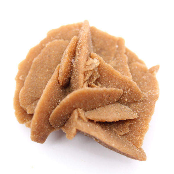 Kleines Fragment der Wüstenrose: ein Mineral aus Marokko