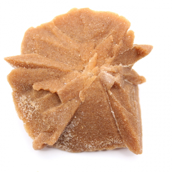 Kleines Fragment der Wüstenrose: ein Mineral aus Marokko