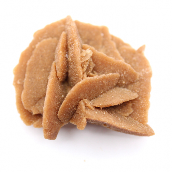 Kleines Fragment der Wüstenrose: ein Mineral aus Marokko