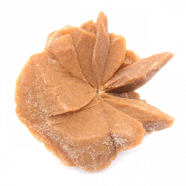 Kleine Wüstenrose Marokkos: natürliches geologisches Fragment