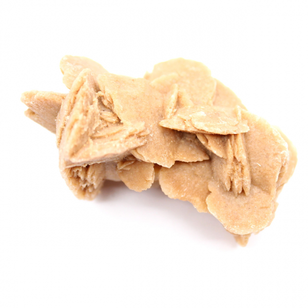 Probe aus kristallisiertem Gips: Wüstenrose von Marokko