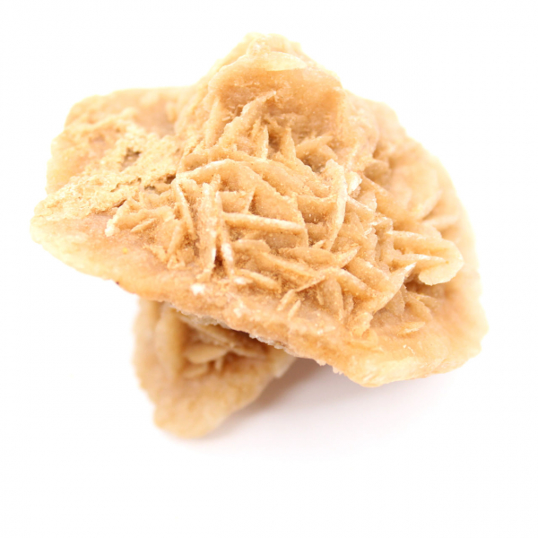 Marokkanische Wüstenrose: massive Sammlerrosette