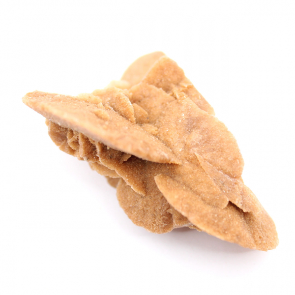 Kleine marokkanische Wüstenrose: die Strahlkraft von natürlichem Gips