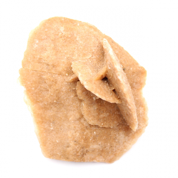 Mineralrosette von Marokko: Gipskristallisation