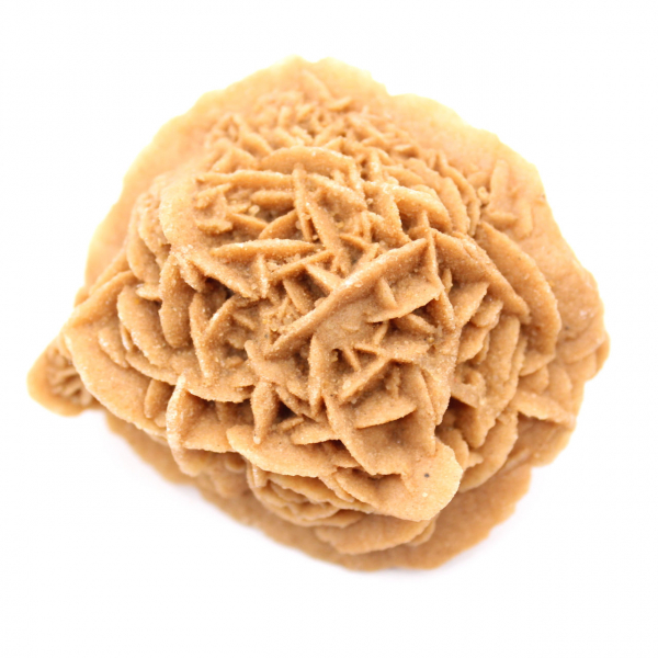 Exemplar der marokkanischen Wüstenrose: dichte Kristallisation