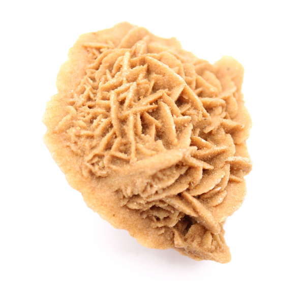 Exemplar der marokkanischen Wüstenrose: dichte Kristallisation