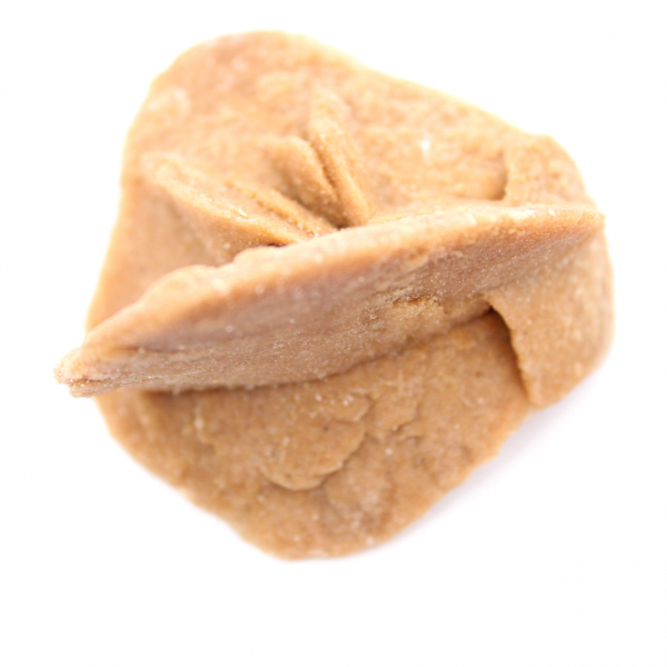 Wüstenrose Marokkos: die zarten Gipskristalle