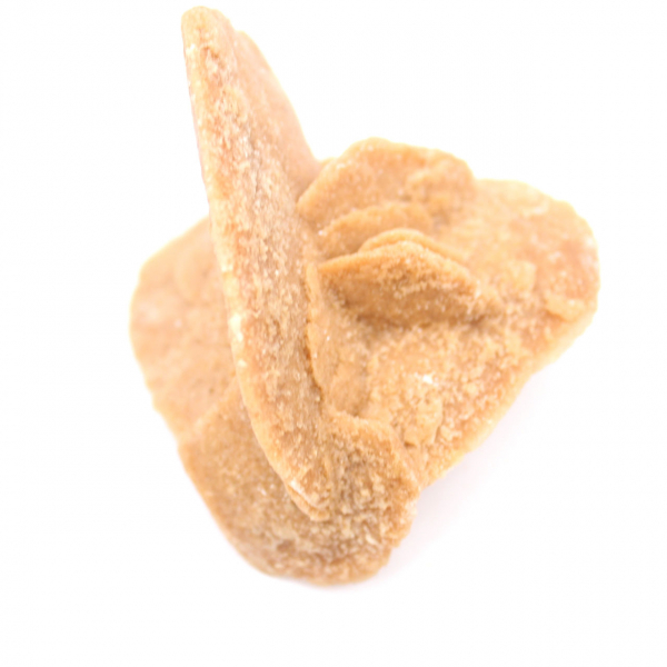 Wüstenrose Marokkos: die zarten Gipskristalle