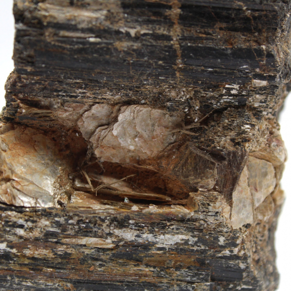 Mineralogisches Exemplar – Roher schwarzer Turmalin aus Madagaskar