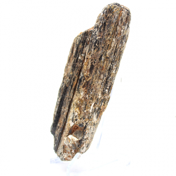 Schwarzer Turmalin aus Madagaskar – Studienexemplar