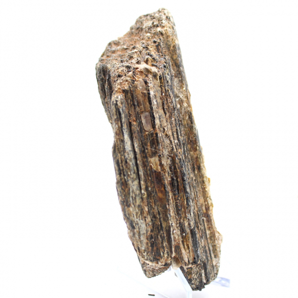 Schwarzer Turmalin aus Madagaskar – Studienexemplar