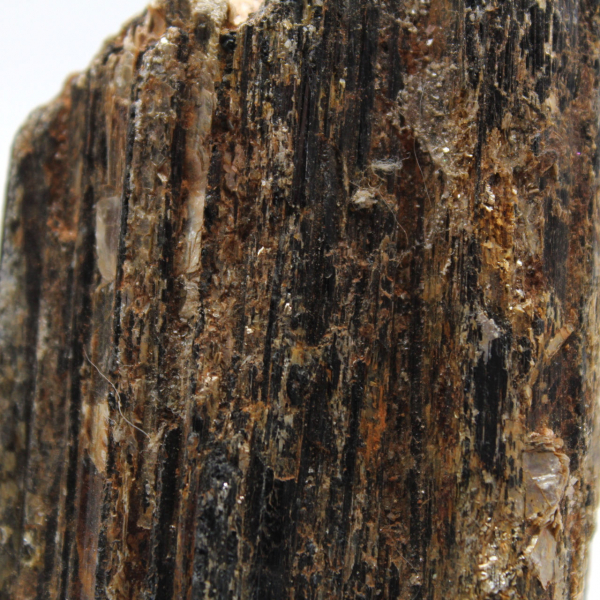 Schwarzer Turmalin aus Madagaskar – Studienexemplar