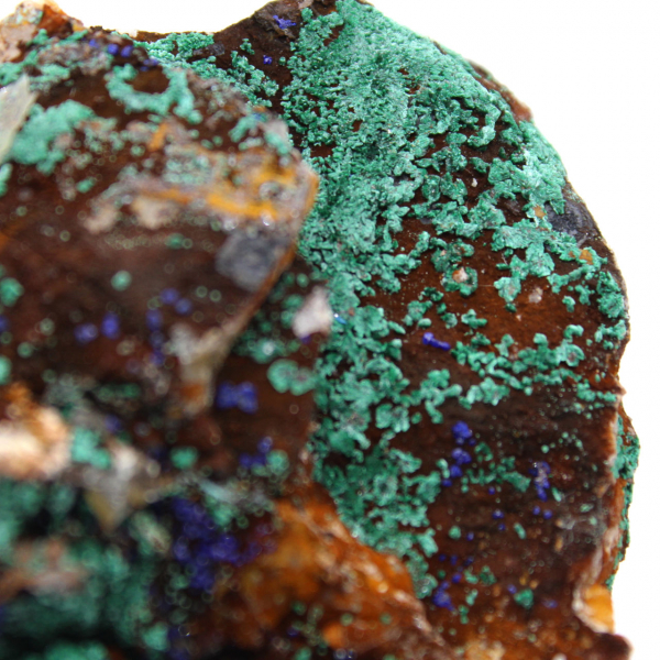 Azurit-Malachit-Duo auf Matrix