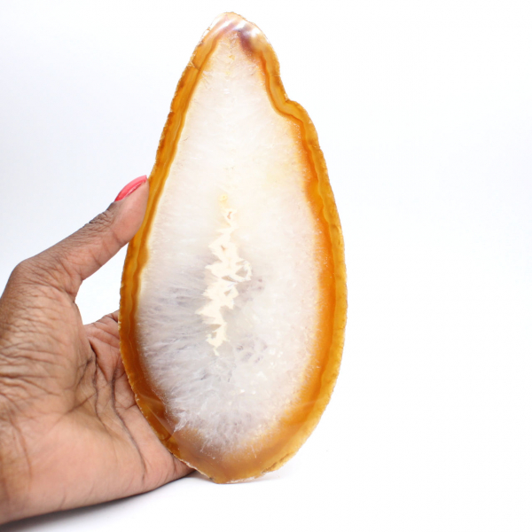 Exemplar aus poliertem Sedimentachat