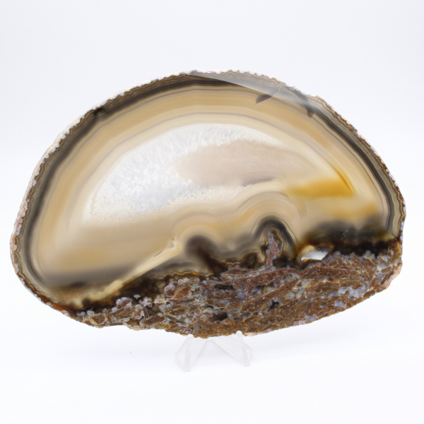 Sammlerstück: Polierter Achat