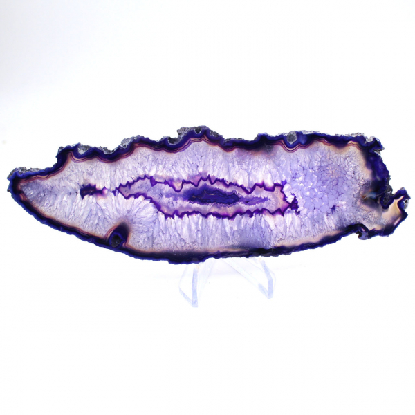 Geschnittenes Exemplar eines länglichen brasilianischen violetten Achats