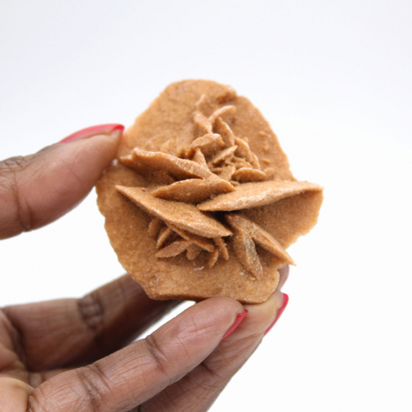 Marokkanische Wüstenrose: kleines, unbehandeltes Sammlerstück