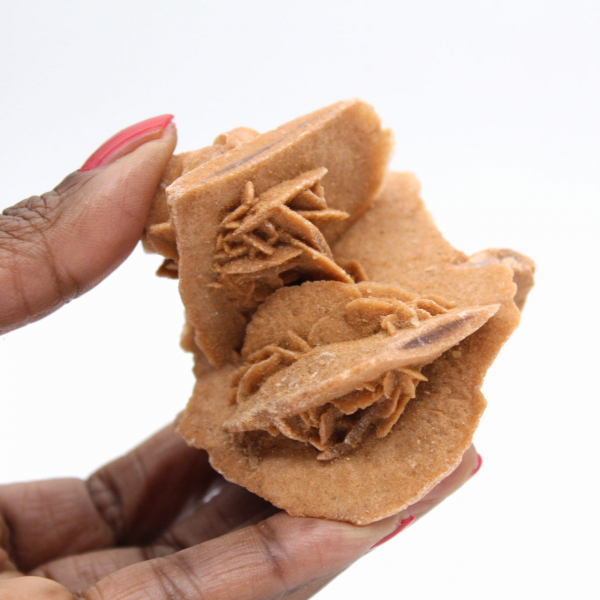 Marokkanische Wüstenrose: ausgewogene Kristallformation