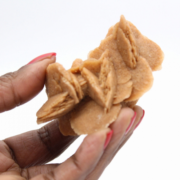 Probe aus kristallisiertem Gips: Wüstenrose von Marokko