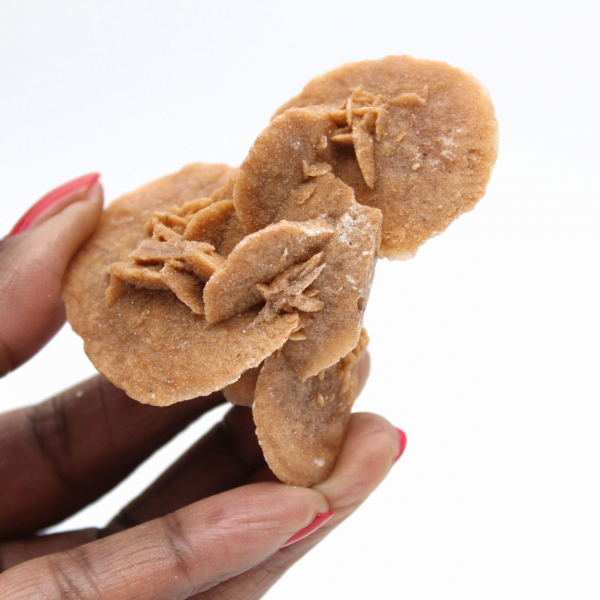 Kleine marokkanische Wüstenrose: die Strahlkraft von natürlichem Gips