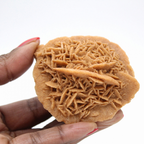 Exemplar der marokkanischen Wüstenrose: dichte Kristallisation