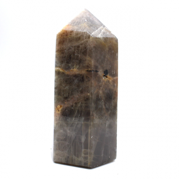 Madagaskar-Mikroklinprisma – Schwarzer Mondsteinschrank