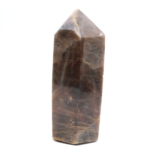 Microcline Kollektion Prism – Intensiver schwarzer Mondstein
