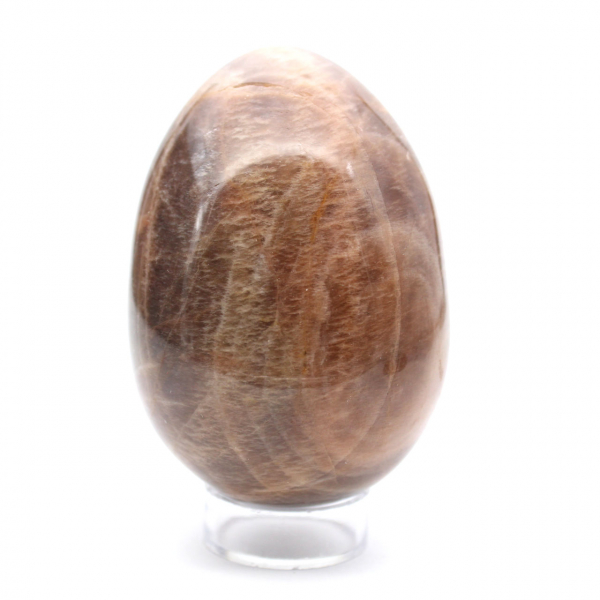 Schwarzer Mondstein – Microcline-Ei 455 g